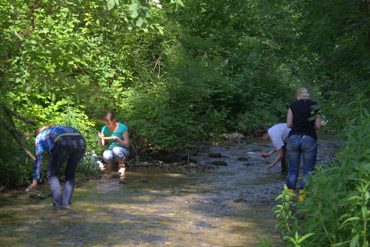 Summer school 2013 (plate-forme Biologie) Summer school 2013 (plate-forme Biologie)