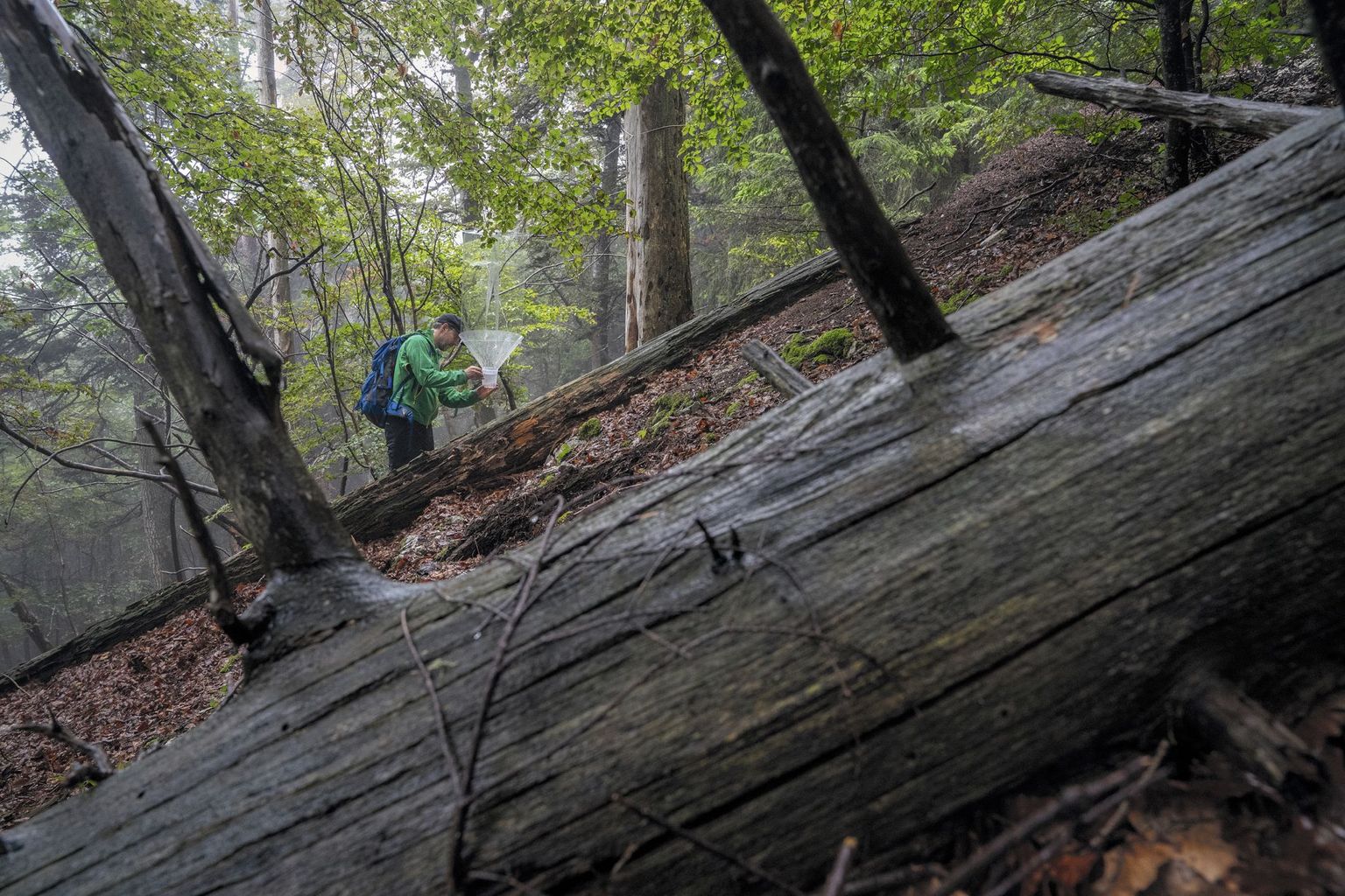 Artenforscherinnen und Artenforscher auf der Suche nach den letzten Überlebenden Artenforscherinnen und Artenforscher auf der Suche nach den letzten Überlebenden