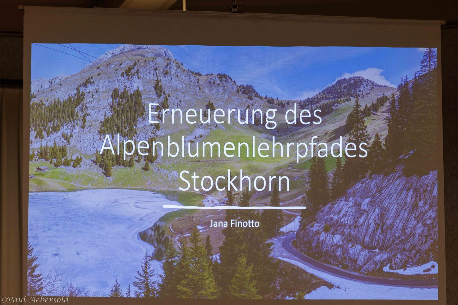 NGT - Maturapräsentationen Bild 10 NGT - Maturapräsentationen Bild 10