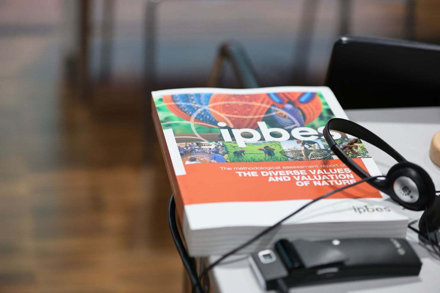 IPBES Values Assessment am IPBES 10 Plenary