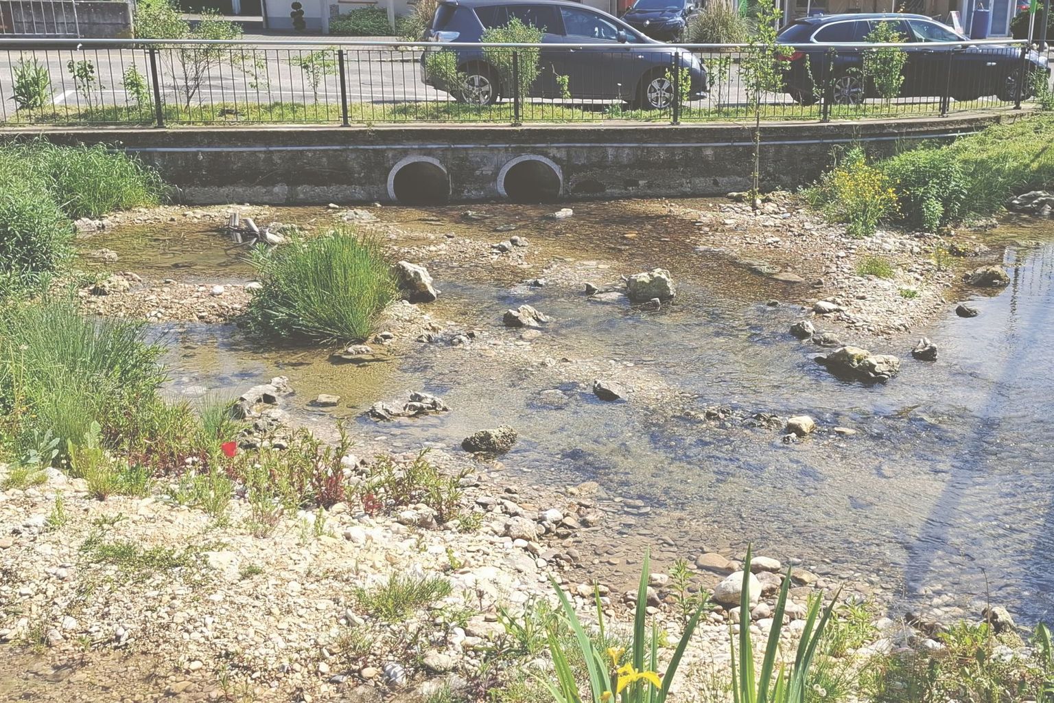 Bonne-Fontaine : Revitalisation d'une source sur la place du village (après) Bonne-Fontaine : Revitalisation d'une source sur la place du village (après)