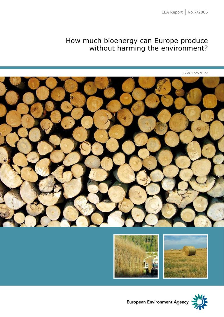 Download report (PDF, 2.4 MB): How much bioenergy can Europe produce without harming the environment?