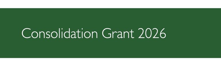 Leading House Latin America: Consolidation Grant 2026 Leading House Latin America: Consolidation Grant 2026