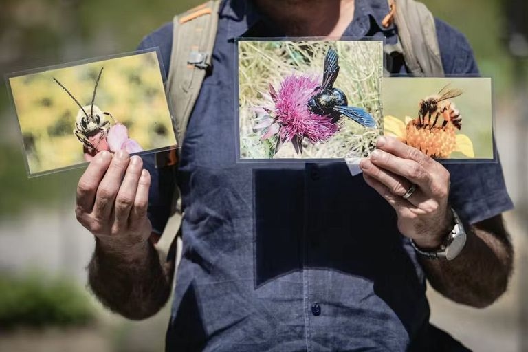 Tag der Artenvielfalt Tag der Artenvielfalt