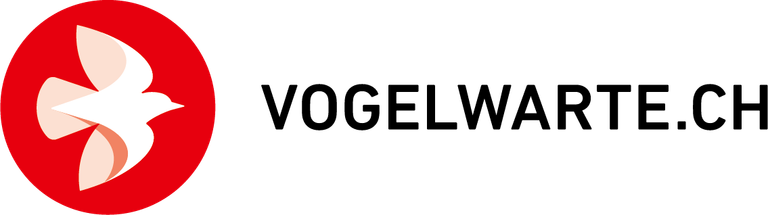 Logo_VSE