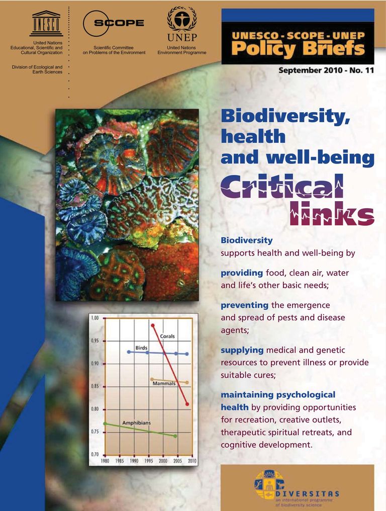 Policy brief: Biodiversity, health and well-being - critical links