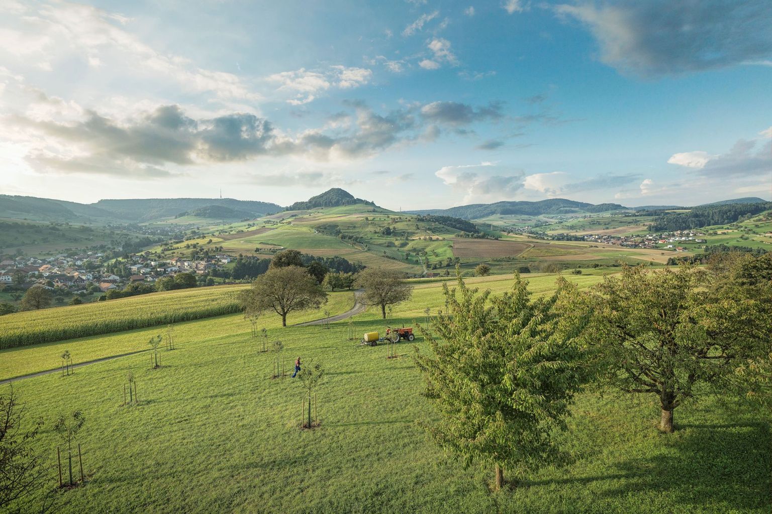 Forschung im Jurapark Forschung im Jurapark