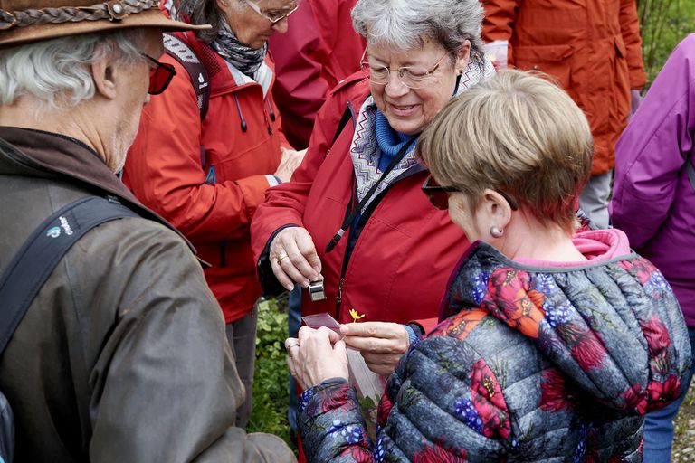 Winterthurerinnen und Winterhurer erkunden die Stadtflora Winterthurerinnen und Winterhurer erkunden die Stadtflora