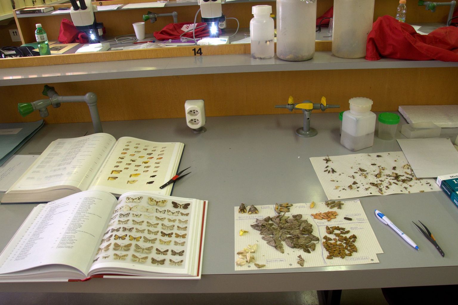 Summer school 2013 (plate-forme Biologie) Summer school 2013 (plate-forme Biologie)