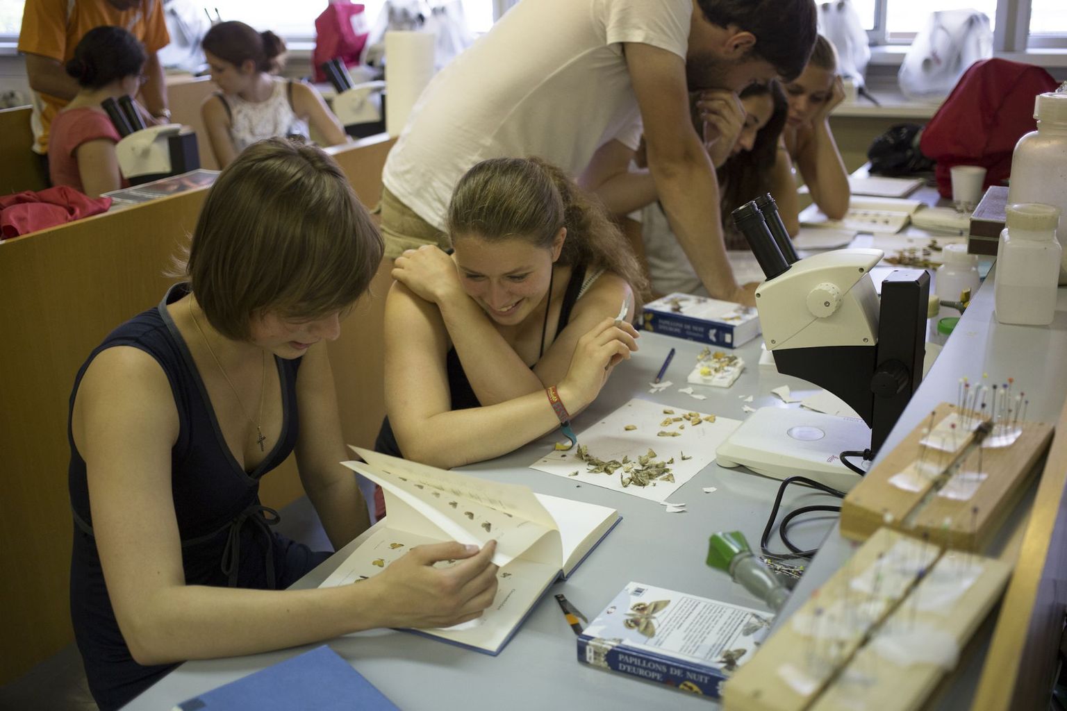 Summer school 2013 (plate-forme Biologie) Summer school 2013 (plate-forme Biologie)