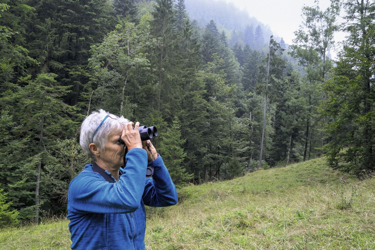 Artenforscherinnen und Artenforscher auf der Suche nach den letzten Überlebenden Artenforscherinnen und Artenforscher auf der Suche nach den letzten Überlebenden