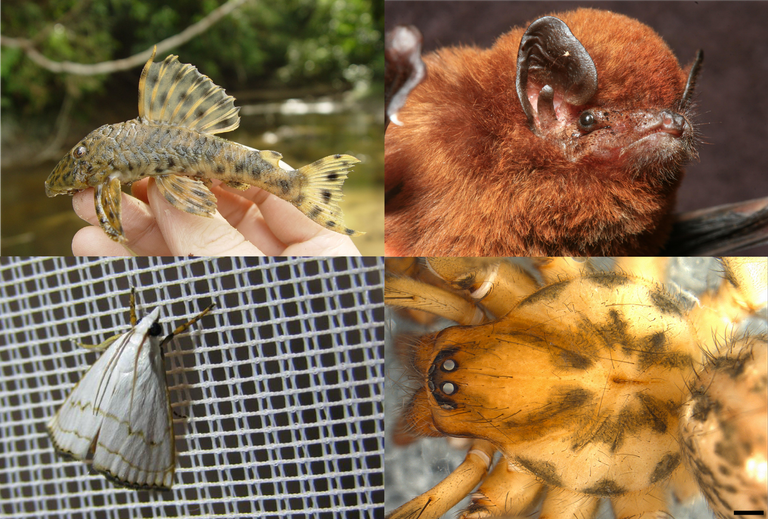 200 species 200 species