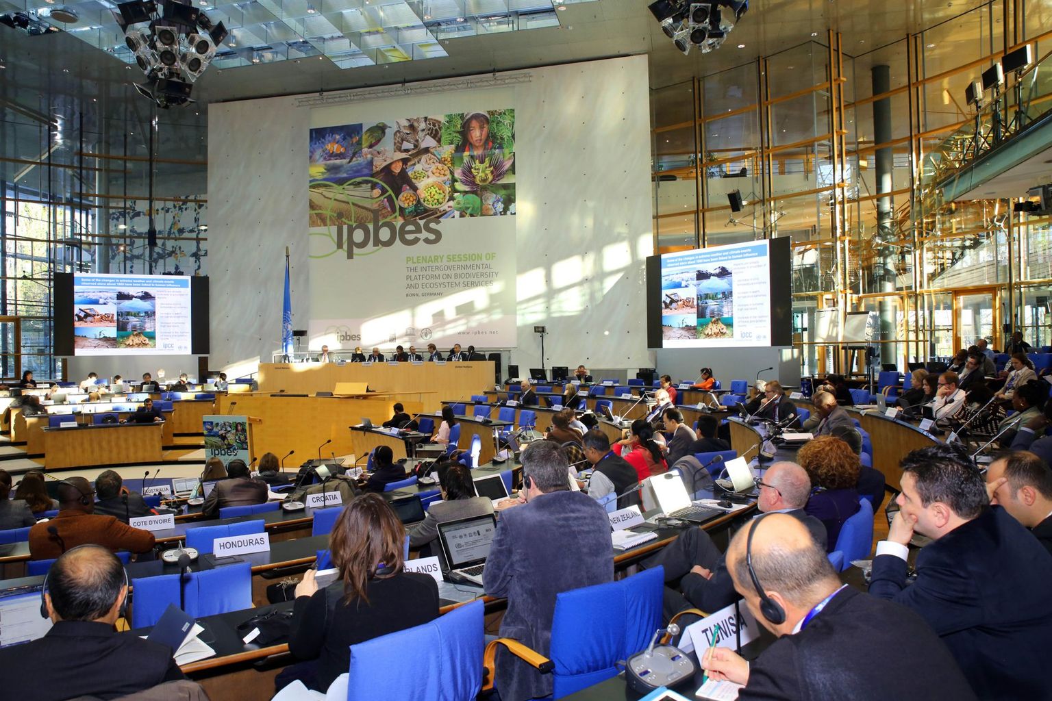 IPBES plenary
