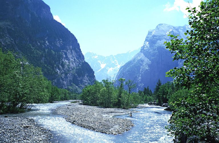 montagne fiume letto del torrente alnus incana grigio foreste alluvionali