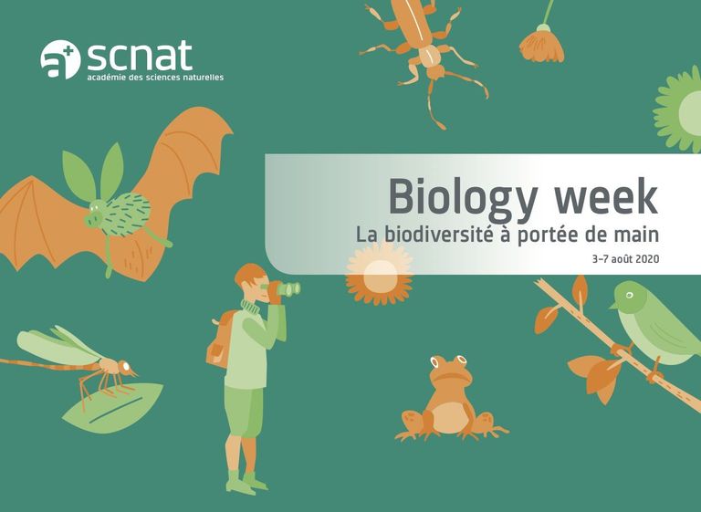 Biology week 2020 biodiversité