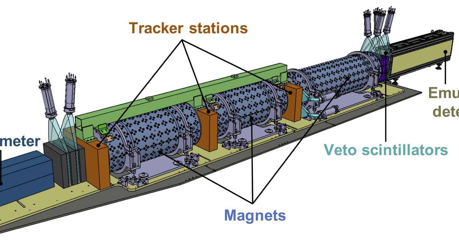 Ausgehend vom benachbarten ATLAS-Experiment treffen hochenergetische Teilchen (100 GeV bis 10 TeV) von links auf den FASER-Detektor. Vier „Veto“-Szintillatoren eliminieren die im Teilchenstrahl enthaltenen Myonen, da sie für das FASER-Experiment uninteressant sind. Wenn Teilchen anschliessend im ‚Zerfallsvolumen‘ (‚decay volume‘) zerfallen, können die Zerfallsprodukte in den drei Nachweisstationen (‚tracking stations‘) des Spektrometers nachgewiesen werden. Jede Nachweisstation besteht aus drei Schichten zum Nachweis geladener Teilchen. Ungeladene Teilchen (z.B. Photonen) werden im Kalorimeter am Ende des Detektors nachgewiesen. Die Bahnen der Zerfallsprodukte und ihre Eigenschaften können aus den Messdaten rekunstruiert  werden. Der Emulsionsdetektor (FASERν) am Anfang des Detektors weist  Wechselwirkungen von hochenergetischen Neutrinos nach. Anders als die Agenda des FASER-Hauptexperiments – neue Teilchen zu entdecken – wird FASERν die Häufigkeit von Wechselwirkungen von Neutrinos messen. Diese Teilchen sind bekannt und im Standardmodell der Teilchenphysik beschrieben, aber viele ihrer Eigenschaften sind noch nicht bekannt.