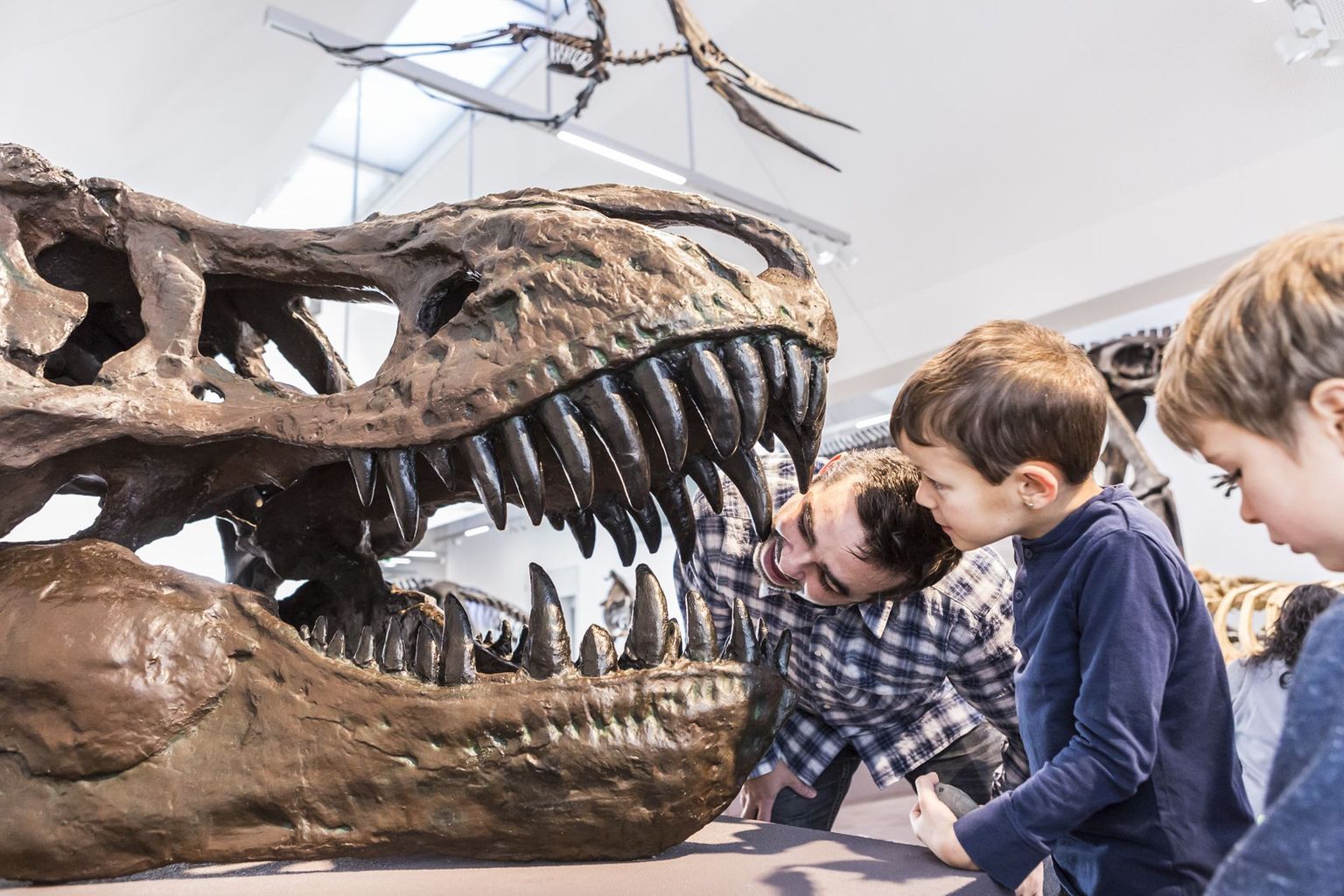 Dinos, Naturmuseum St. Gallen