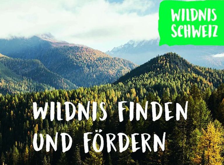Flyer Wildnis Schweiz, Mountain Wilderness