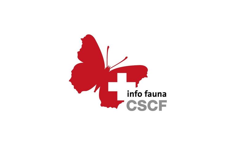 CSCF logo 2017