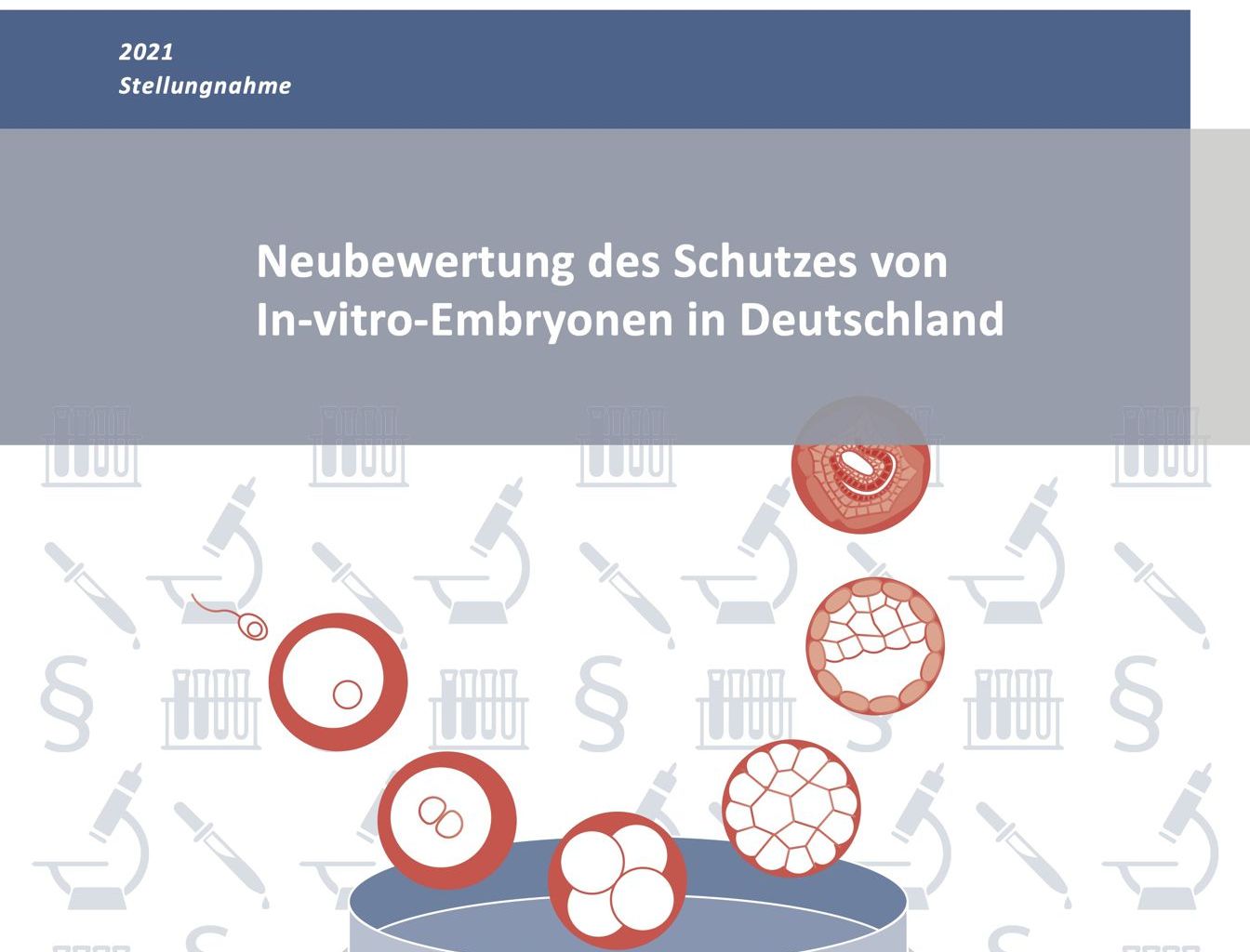 Neubewertung des Schutzes von In-vitro-Embryonen in Deutschland