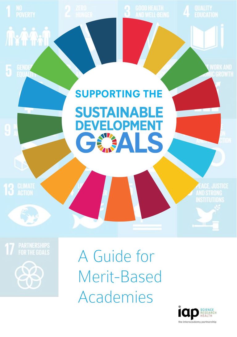 IAP SDG guide