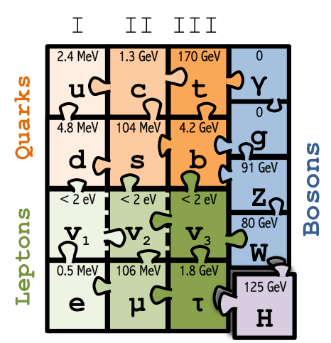 Standard Model Puzzle