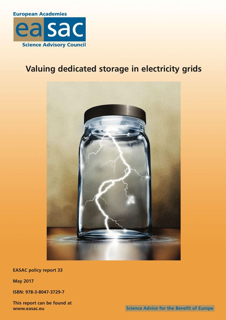 EASAC report "Valuing dedicated storage in electricity grids"