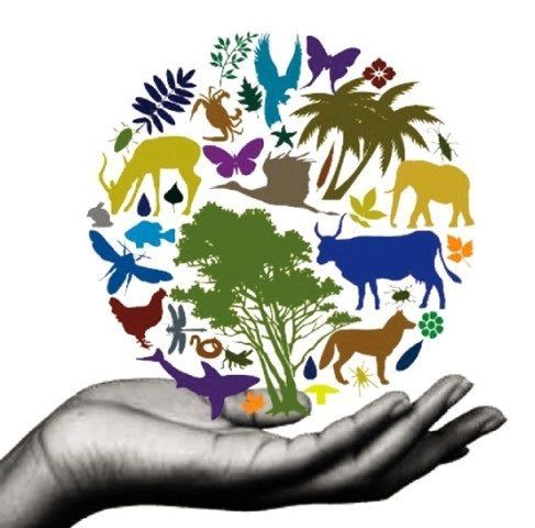 Biodiversity conservation