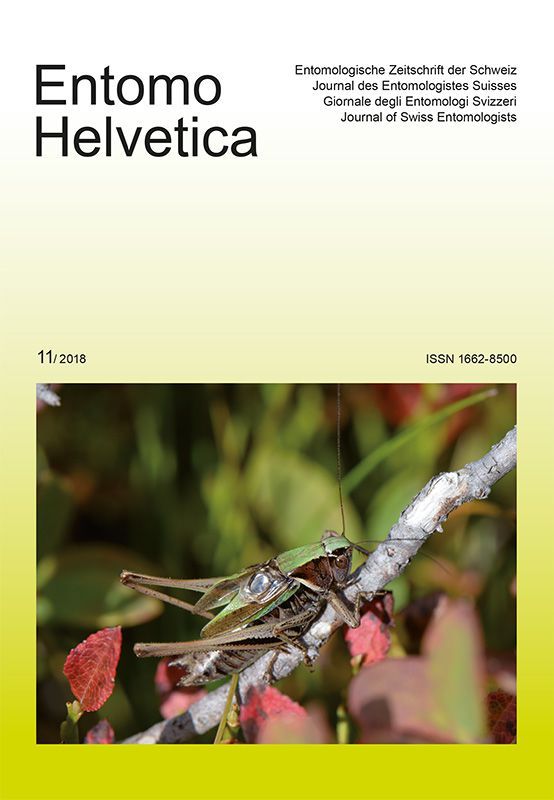 Entomo Helvetica 2018/11: Titelseite