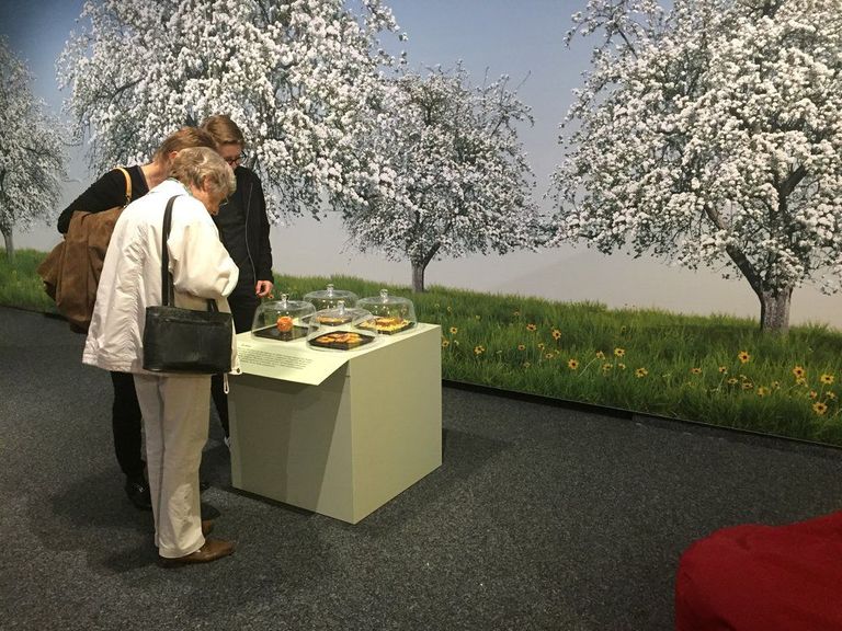 Ausstellung "Der Apfel"