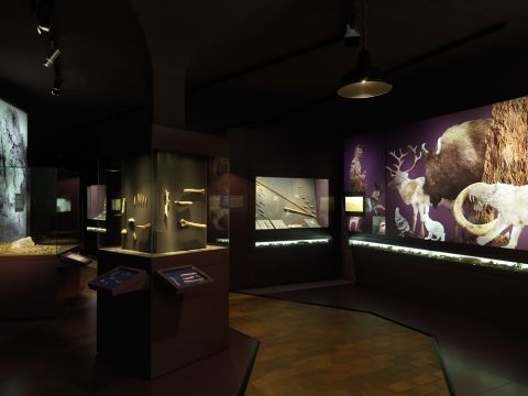 Blick in die Archäologie-Ausstellung