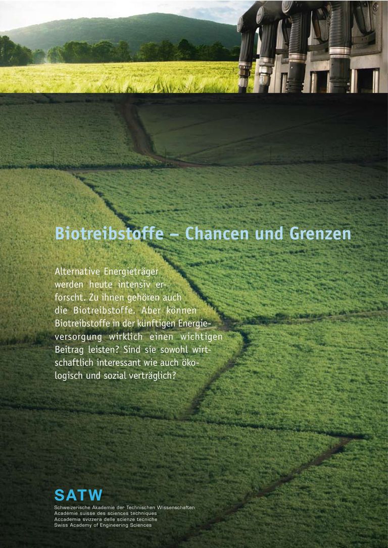 Bericht: Biotreibstoffe – Chancen und Grenzen