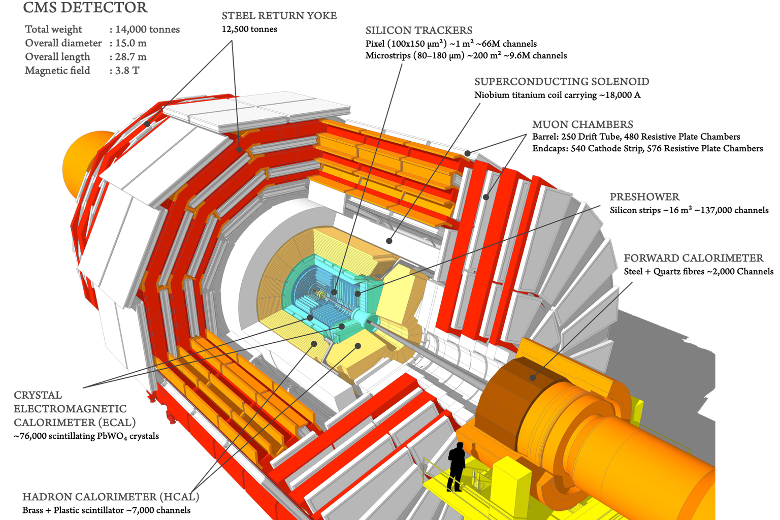 The detector of the CMS experiment at CERN: In the vacuum tube of the circular accelerator (grey, surrounded by a protective envelope drawn in orange) protons move in both directions, causing them to collide in the centre of the detector and produce new particles in the process. These particles are very diverse; each type is detected by different layers of the detector. The second innermost layer is the crystal detector (green), which can detect photons (light particles), among other things. Such crystal detectors – on a smaller scale – form the basis of PET scanners.