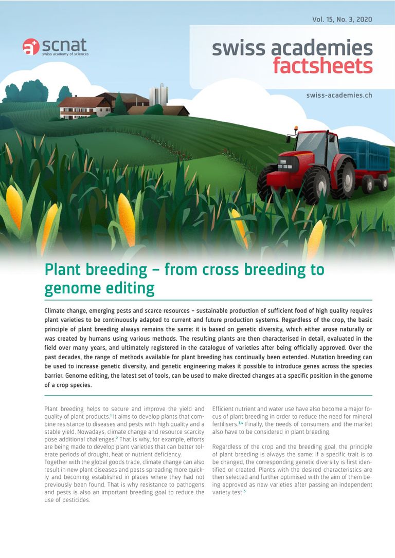 Plant breeding – from cross breeding to genome editing.