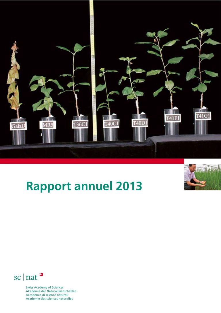 SCNAT Rapport annuel 2013
