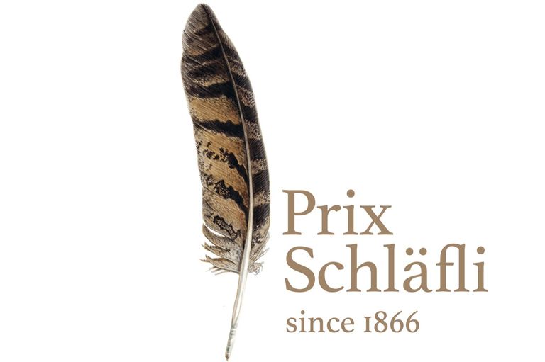 Prix Schläfli