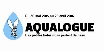 Aqualogue (Studio KO)