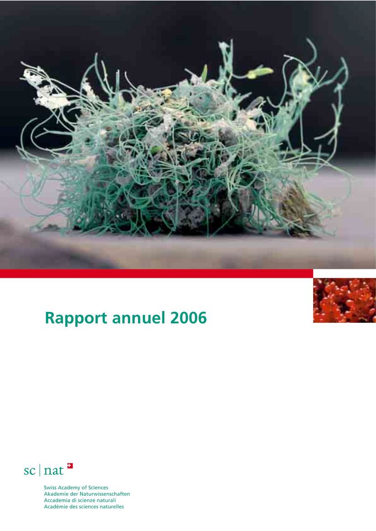 SCNAT Rapport annuel 2006