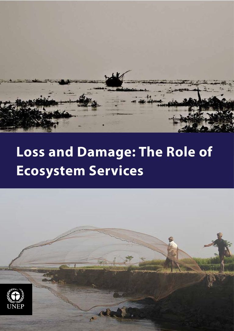 Loss and Damage: The Role of Ecosystem Services (PDF)