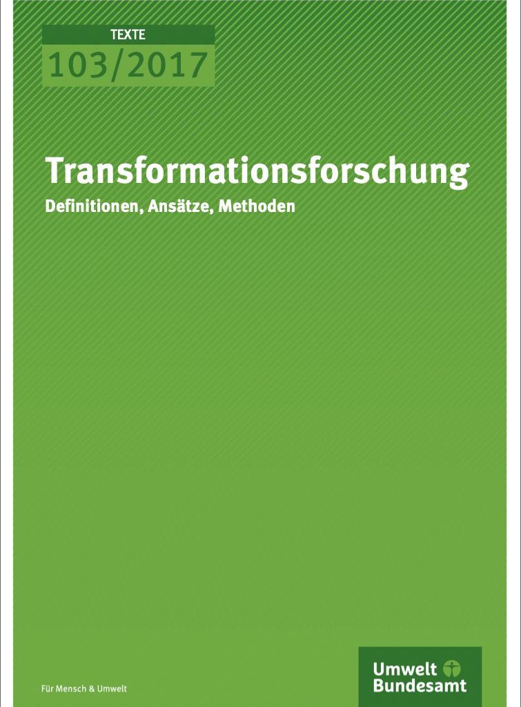 Transformationsforschung Publikation
