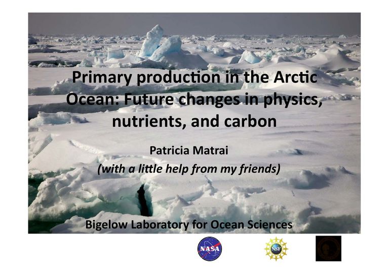 Patricia Matrai - Primary production in the Arctic Ocean: Future changes in physics, nutrients, and carbon