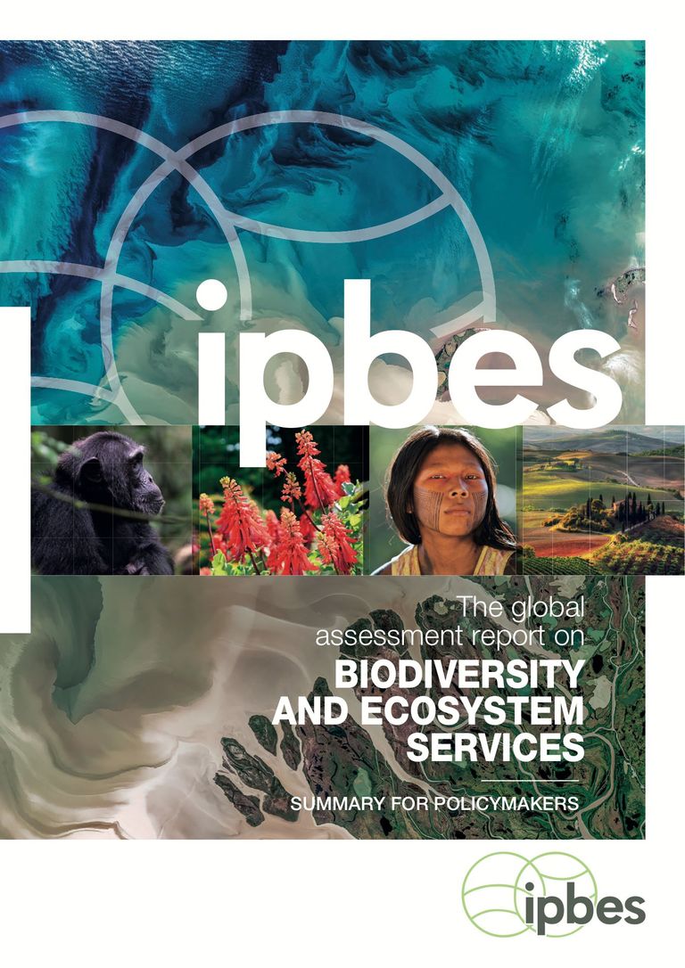 IPBES Global Assessment - Summary for Policymakers