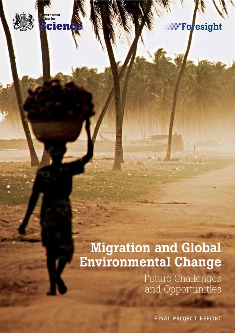 Final report: Migration and Global Environmental Change