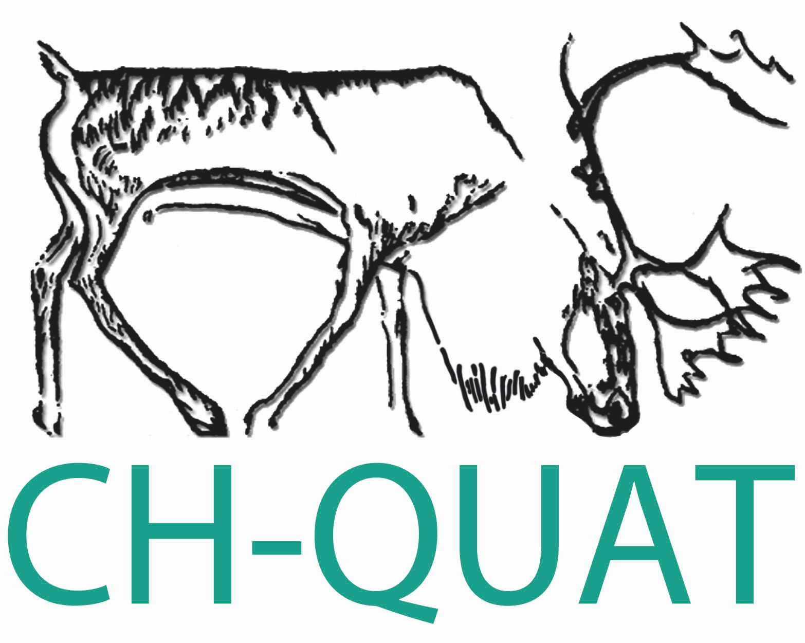 Logo von Schweizerische Gesellschaft für Quartärforschung