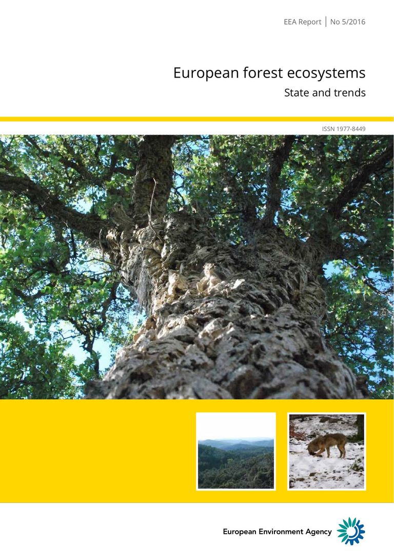 EEA Report | No 5/2016: European forest ecosystems. State and trends.