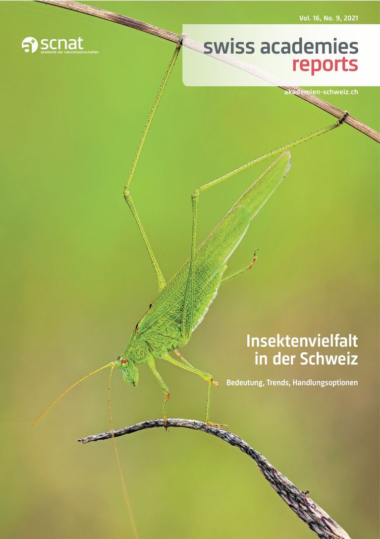 Bericht Insektenvielfalt in der Schweiz