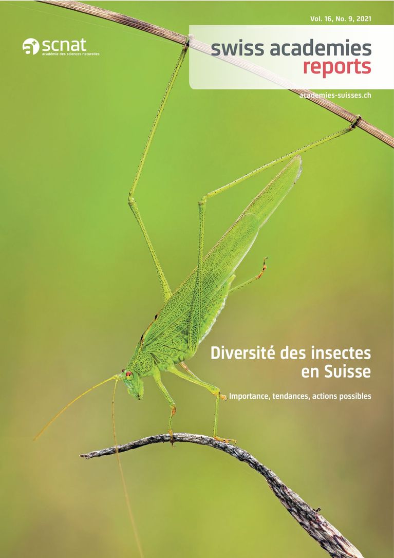 Rapport Diversité des insectes en Suisse