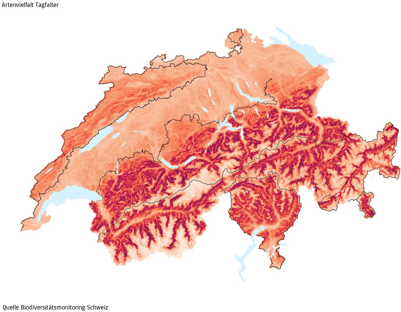 Die BDM-Daten zeigen, dass das Mittelland bezüglich Tagfaltervielfalt gegenüber dem Alpenraum deutlich abfällt.