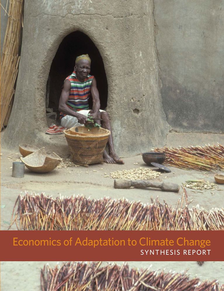Download Report: Economics of Adaptation to Climate Change - General Aspects