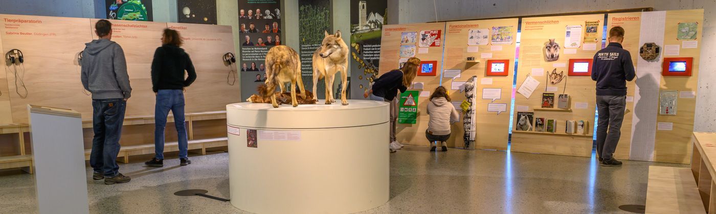 In der Wolf-Ausstellung